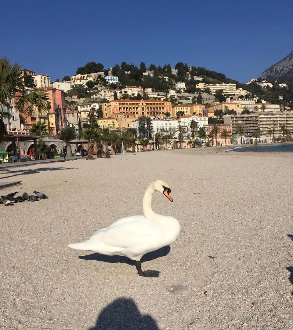 Appartement Central Des Terres Chaudes Proche Bord De Mer Menton 0*,