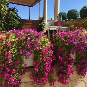 With Private Patio Apartment Fuengirola